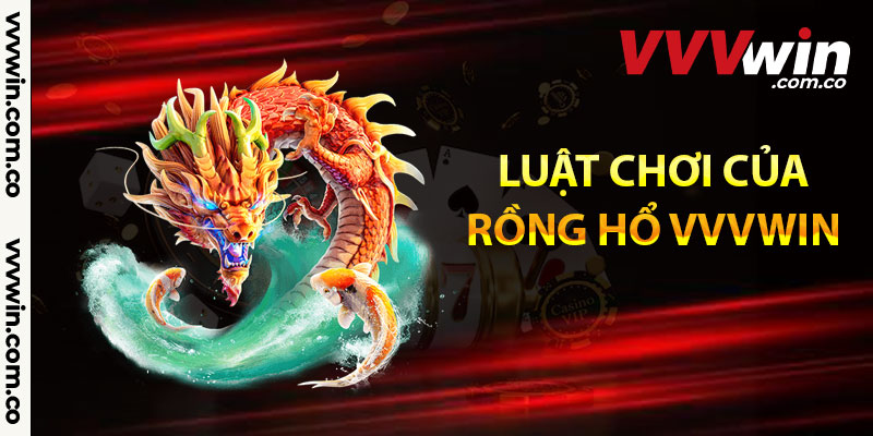 Luật chơi của rồng hổ Vvvwin